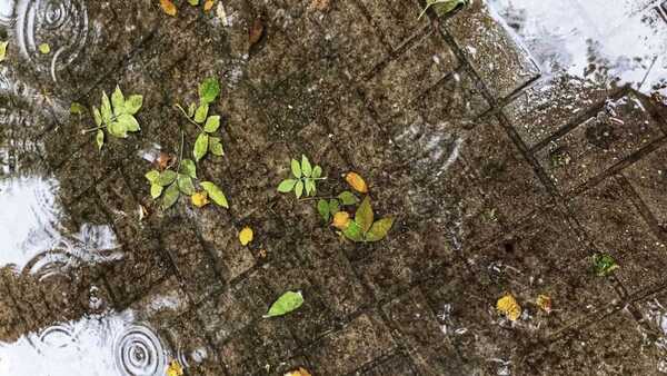 Martes con lluvias y vientos del sur en todo el territorio nacional