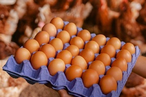 Huevo sube por alta demanda en Semana Santa