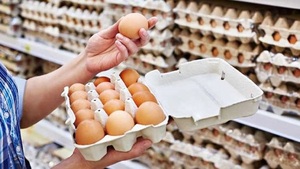 Huevo sube de precio ante la alta demanda por Semana Santa - Concepción al Día