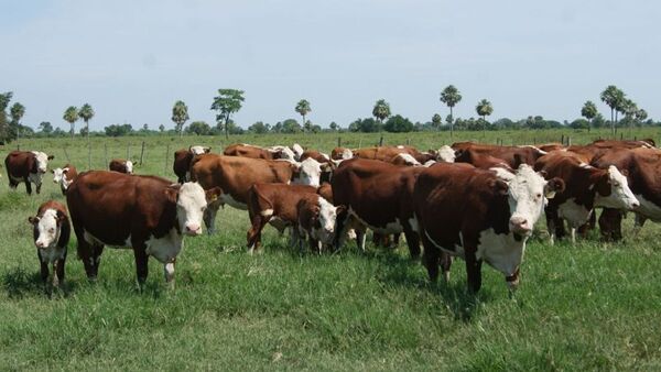 Senacsa invierte G. 40.000 millones en bonos de la AFD para impulsar el sector productivo