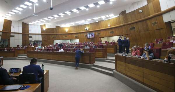 La Nación / Diputados buscan ahorrar entre USD 8 a 10 millones “recortando compras innecesarias”