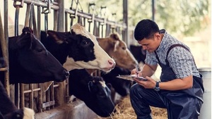 Senacsa invierte en bonos para impulsar la ganadería