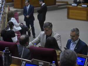 Diputados cartistas y satélites evitan recortar bonificaciones en plena “economía de guerra” - Política - ABC Color
