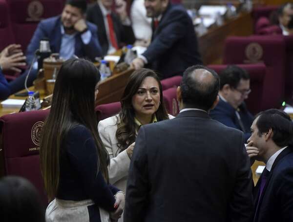 Proyecto para recortar bonificaciones: Latorre dice que “como mínimo” tenía que aprobarse en general - Política - ABC Color