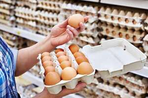 Semana Santa: Sector avícola asegura que habrá precios competitivos en rubro huevos - Economía - ABC Color