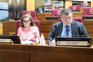 Caja Parlamentaria: Senado  aprobaría seguir con privilegios  - Política - ABC Color