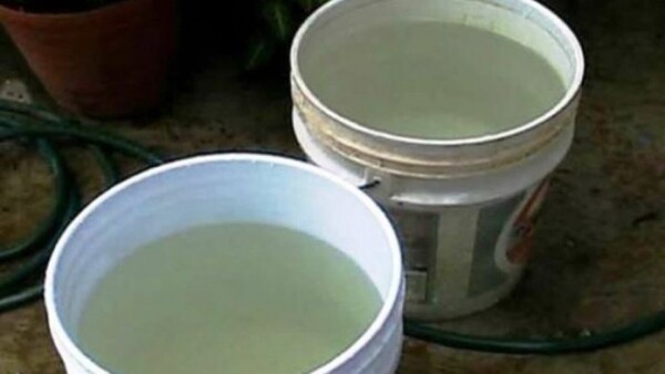 ¡Muy triste! Beba falleció ahogada en un balde con agua