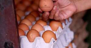 Diario HOY | Precio del huevo sube a pocos días de la Semana Santa