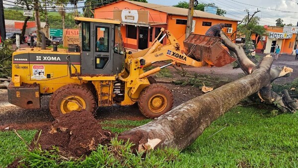 Remueven árboles caídos y restablecen servicios tras temporal en San Alberto