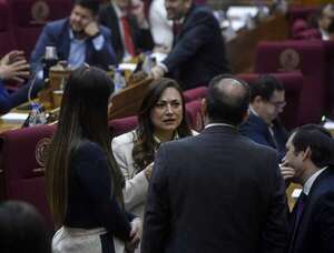 Hambre Cero: Cartista pide fiscalización especial y oposición plantea “fusilar” a ladrones  - Política - ABC Color