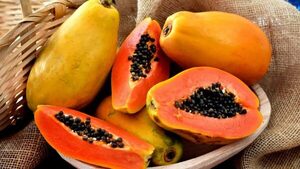 Investigan anticonceptivo masculino a base de papaya