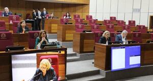 La Nación / Senado dictamina a favor con cambios del proyecto de Caja Parlamentaria