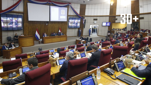 Diputados presentaron proyecto para reducir gastos: estiman ahorro superior a USD 20 millones - trece