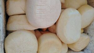 Comités de San Pedro producen hasta 2400 kilos de queso Paraguay ante alta demanda por Semana Santa
