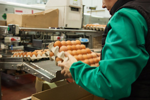 Popular / ¡Huevo ya ojupima de precio para esta Semana Santa!