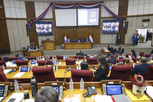 Diputados sanciona ley "Del Obstetra en la República del Paraguay"