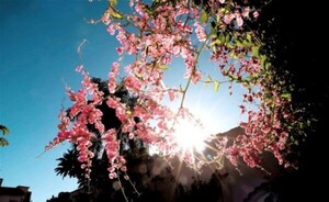 Anuncian miércoles con ambiente húmedo e inestable