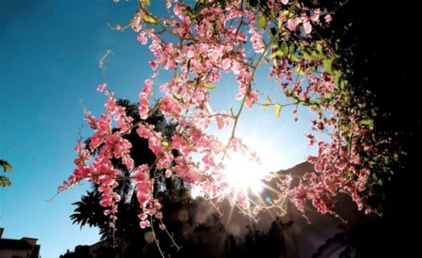 Anuncian miércoles con ambiente húmedo e inestable