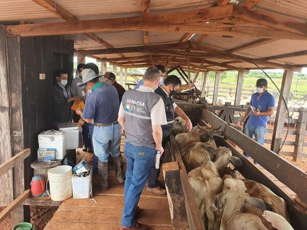 Senacsa invierte Gs. 40.000 millones para impulsar proyectos productivos