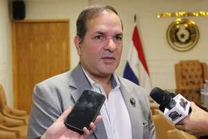 Asunción: Arnaldo Samaniego representará a la disidencia colorada en internas municipales - Política - ABC Color