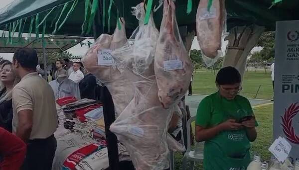 [VIDEO] Mirá la feria que se armó en la Costanera, una previa de lo que se viene
