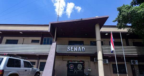 La Nación / Consolidación de Marset y debilitamiento de la Senad “no fue una coincidencia”, dice ministro