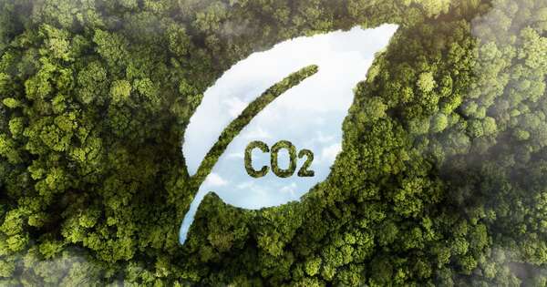 La Nación / Paraguay apuesta al carbono como nuevo motor económico y busca escalar en mercados internacionales