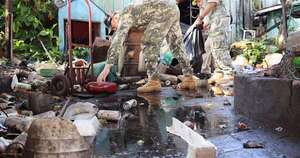 La Nación / Lluvias copiosas provocan invasión de mosquitos gigantes, pero inofensivos