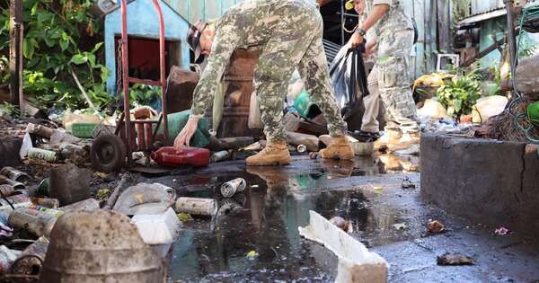 La Nación / Lluvias copiosas provocan invasión de mosquitos gigantes, pero inofensivos