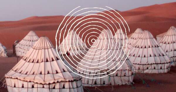 Diario HOY | El Ojo Salvaje invita a postular a beca para programa de narrativas visuales