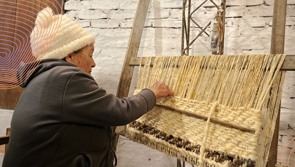 Foro Regional Sur para la formulación del Plan Nacional de Cultura 2050
