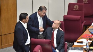 Senado apuró Caja Fiscal, pero se aferra a polémica jubilación vip