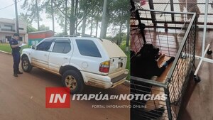 ARROLLAMIENTO DE PERRO GENERA INTERVENCIÓN POLICIAL EN ALTO VERÁ