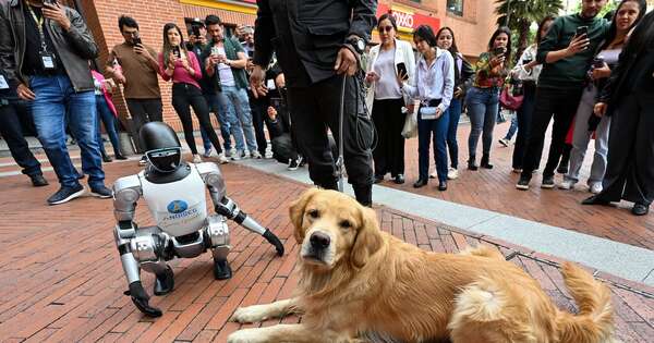 La Nación / Los perros llevan 16.000 años con los humanos, según nuevo estudio