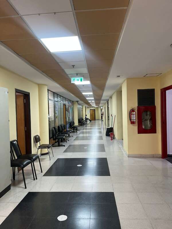 A lo Lizarella, en Diputados “adelantan” la Semana Santa - Política - ABC Color