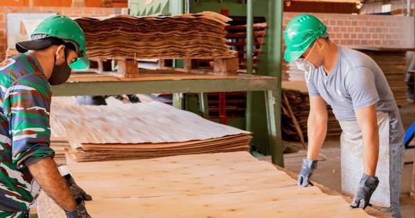 Paraguay posiciona su madera en el radar japonés