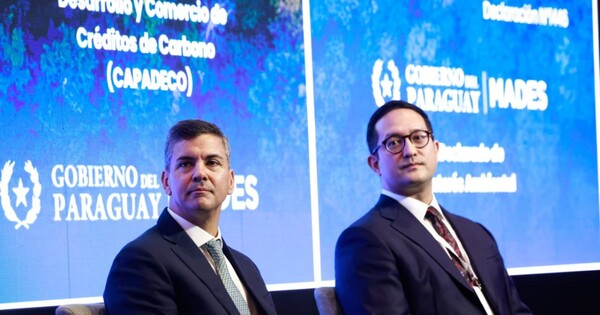 El Gobierno apunta a los mercados de carbono para atraer inversiones por USD 1.000 millones