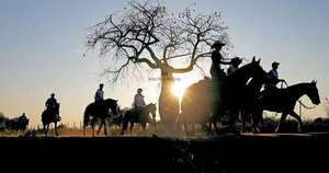 La Nación / Chaco paraguayo: empresarios brasileños exploran oportunidades de inversión