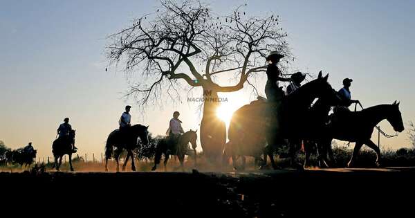 La Nación / Chaco paraguayo: empresarios brasileños exploran oportunidades de inversión