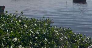 La Nación / “Cruce Cultural Pedro Canoero” propone travesía nocturna desde Areguá a San Bernardino