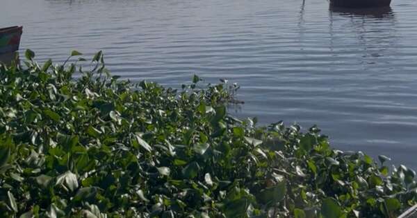 La Nación / “Cruce Cultural Pedro Canoero” propone travesía nocturna desde Areguá a San Bernardino