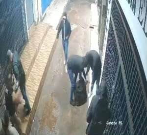 Gavilla robó medicamentos para adelgazar valuados en USD 170.000 en Ciudad del Este - ABC en el Este - ABC Color