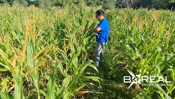 Mujer productora se destaca en San Pedro comercializando varios productos | Unicanal