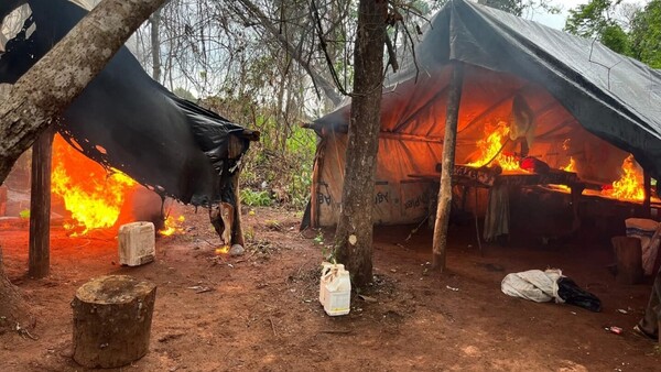 Destruyen 10 hectáreas y 10 kilos de semillas de marihuana en Curuguaty