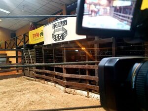 En un mercado demandado, El Corral rematará invernada de Regional Cordillera el próximo martes