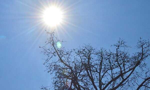 Anuncian ascenso de temperaturas para el fin de semana - Noticiero Paraguay