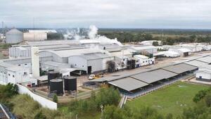 Moody's rebaja calificación de frigorífico Concepción ante riesgo de liquidez