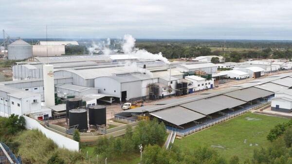 Moody's rebaja calificación de frigorífico Concepción ante riesgo de liquidez