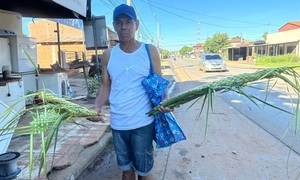 Desde Itauguá palmas para bendecir el Domingo de Ramos, llegan a Coronel Oviedo de manos de don Sergio Zarza - OviedoPress