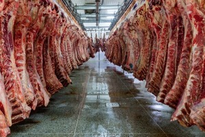 Taiwán se posiciona como principal destino de la carne paraguaya y abre nuevas oportunidades en Asia